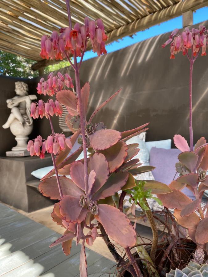 Gelukkie Hotel Paternoster Exterior foto